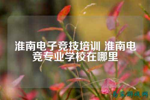 淮南电子竞技培训 淮南电竞专业学校在哪里