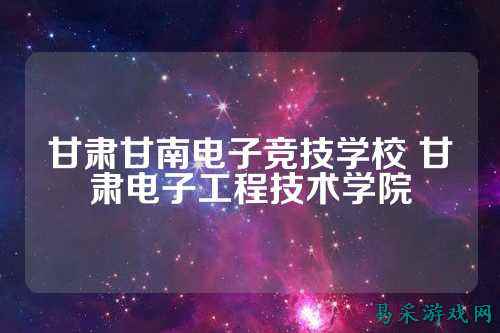 甘肃甘南电子竞技学校 甘肃电子工程技术学院