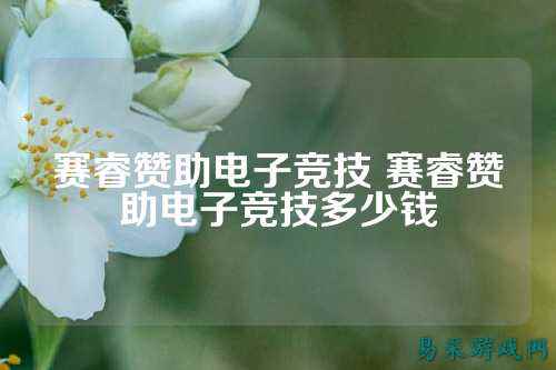 赛睿赞助电子竞技 赛睿赞助电子竞技多少钱