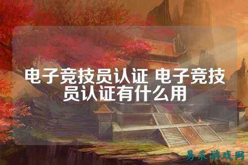 电子竞技员认证 电子竞技员认证有什么用