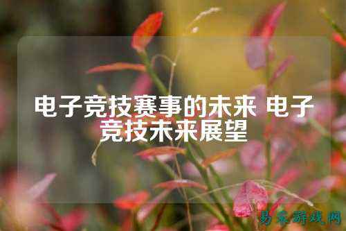 电子竞技赛事的未来 电子竞技未来展望