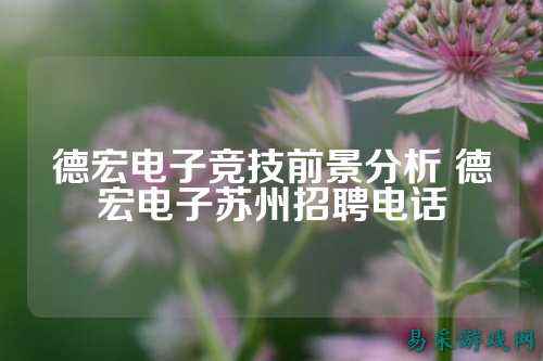 德宏电子竞技前景分析 德宏电子苏州招聘电话