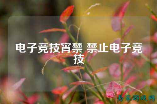 电子竞技宵禁 禁止电子竞技