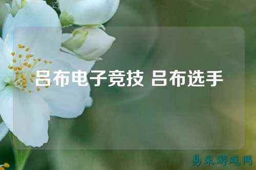 吕布电子竞技 吕布选手