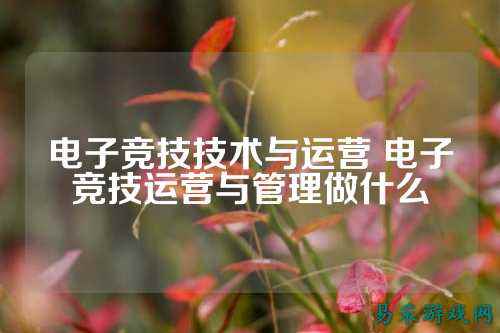 电子竞技技术与运营 电子竞技运营与管理做什么