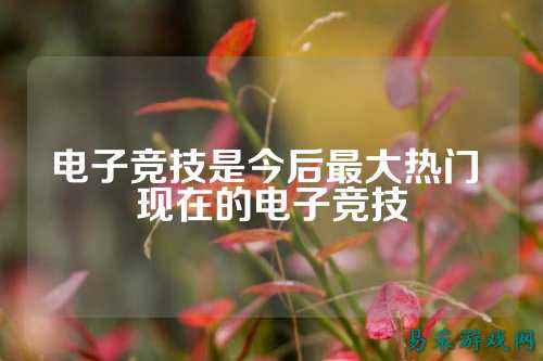 电子竞技是今后最大热门 现在的电子竞技