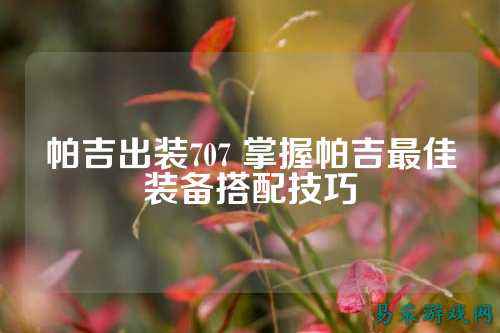 帕吉出装707 掌握帕吉最佳装备搭配技巧