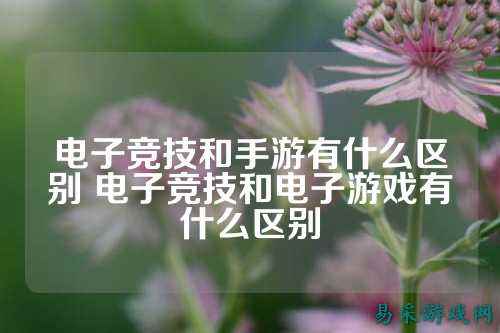 电子竞技和手游有什么区别 电子竞技和电子游戏有什么区别