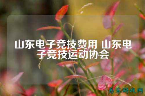 山东电子竞技费用 山东电子竞技运动协会