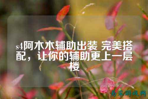 s4阿木木辅助出装 完美搭配，让你的辅助更上一层楼