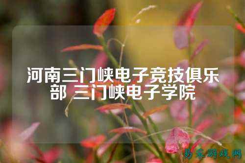 河南三门峡电子竞技俱乐部 三门峡电子学院