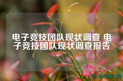 电子竞技团队现状调查 电子竞技团队现状调查报告
