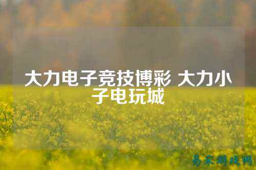 大力电子竞技博彩 大力小子电玩城