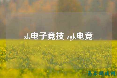 zk电子竞技 zgk电竞