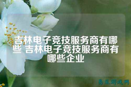 吉林电子竞技服务商有哪些 吉林电子竞技服务商有哪些企业