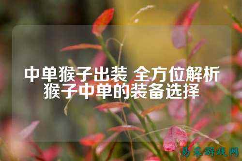 中单猴子出装 全方位解析猴子中单的装备选择