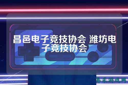 昌邑电子竞技协会 潍坊电子竞技协会