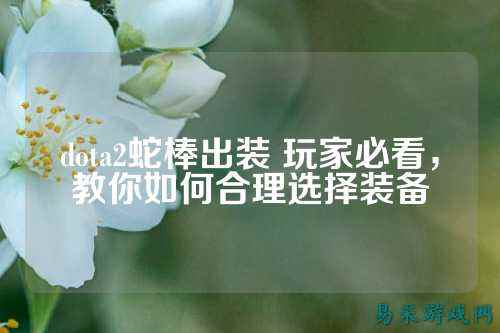 dota2蛇棒出装 玩家必看，教你如何合理选择装备