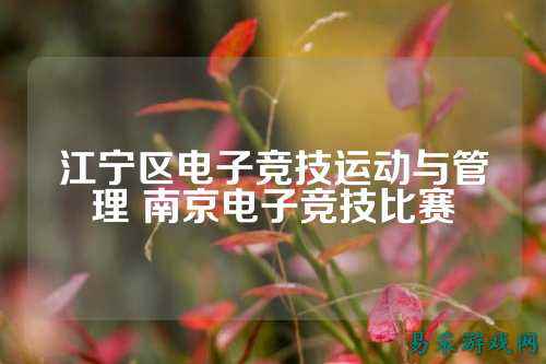 江宁区电子竞技运动与管理 南京电子竞技比赛