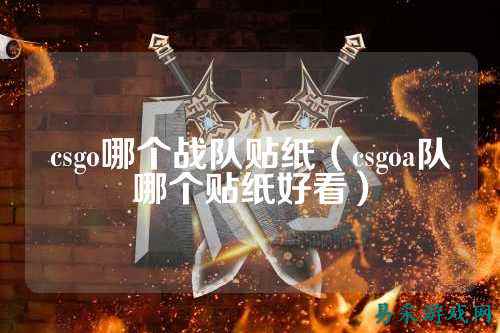 csgo哪个战队贴纸(csgoa队哪个贴纸好看)