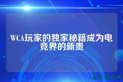 WCA玩家的独家秘籍成为电竞界的新贵