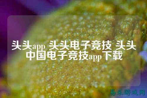 头头app 头头电子竞技 头头中国电子竞技app下载