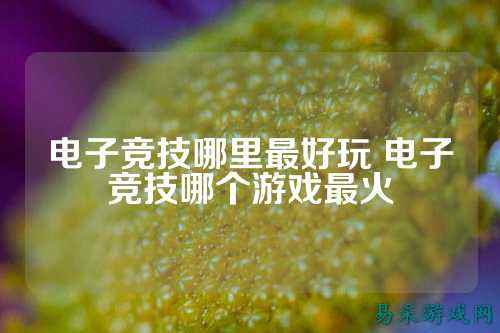电子竞技哪里最好玩 电子竞技哪个游戏最火