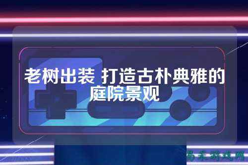 老树出装 打造古朴典雅的庭院景观