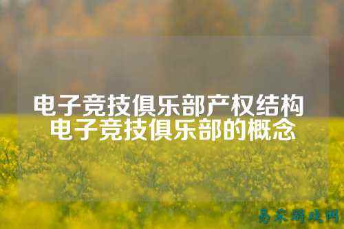 电子竞技俱乐部产权结构 电子竞技俱乐部的概念