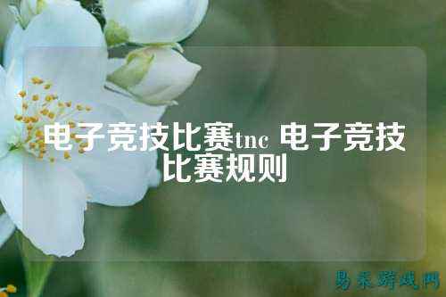 电子竞技比赛tnc 电子竞技比赛规则