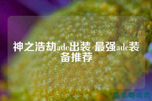 神之浩劫adc出装 最强adc装备推荐