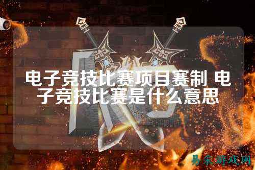 电子竞技比赛项目赛制 电子竞技比赛是什么意思