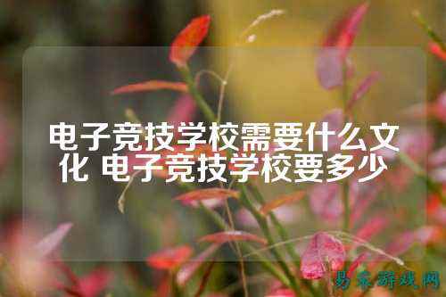 电子竞技学校需要什么文化 电子竞技学校要多少