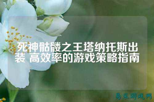 死神骷髅之王塔纳托斯出装 高效率的游戏策略指南