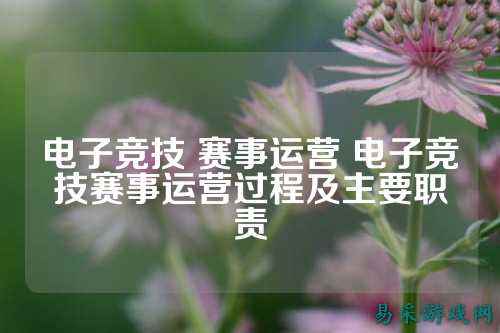 电子竞技 赛事运营 电子竞技赛事运营过程及主要职责