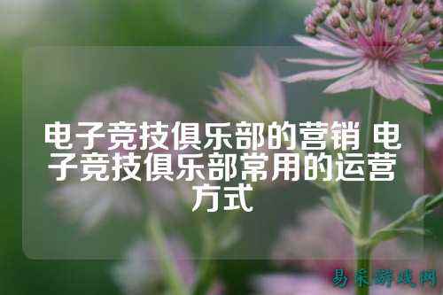 电子竞技俱乐部的营销 电子竞技俱乐部常用的运营方式