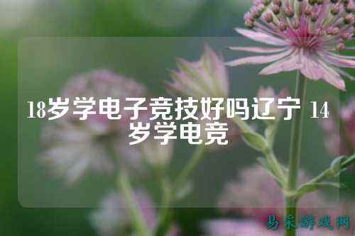 18岁学电子竞技好吗辽宁 14岁学电竞