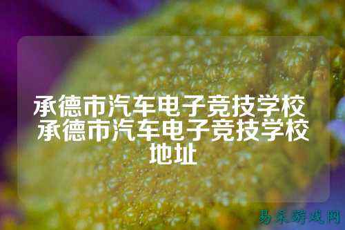 承德市汽车电子竞技学校 承德市汽车电子竞技学校地址