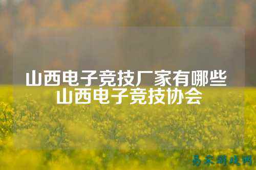 山西电子竞技厂家有哪些 山西电子竞技协会