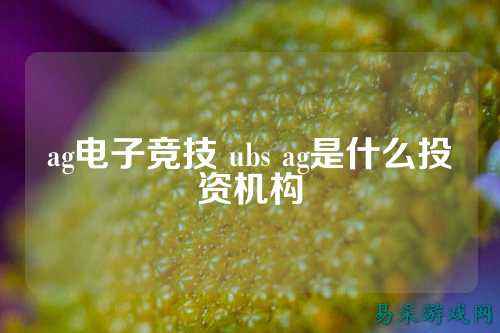 ag电子竞技 ubs ag是什么投资机构