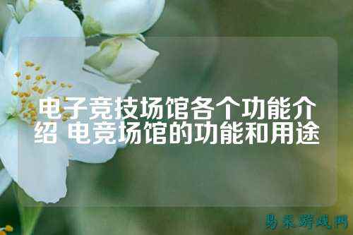 电子竞技场馆各个功能介绍 电竞场馆的功能和用途