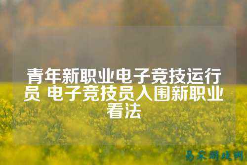青年新职业电子竞技运行员 电子竞技员入围新职业看法
