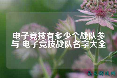 电子竞技有多少个战队参与 电子竞技战队名字大全