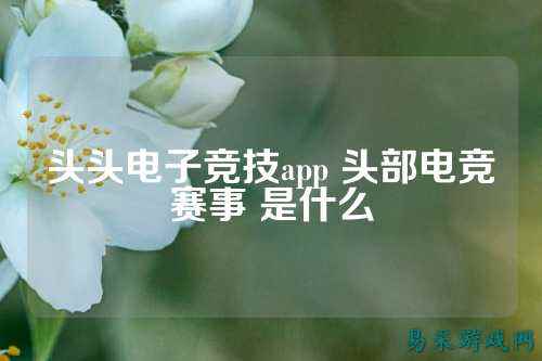 头头电子竞技app 头部电竞赛事 是什么