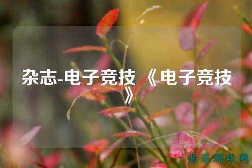 杂志-电子竞技 《电子竞技》