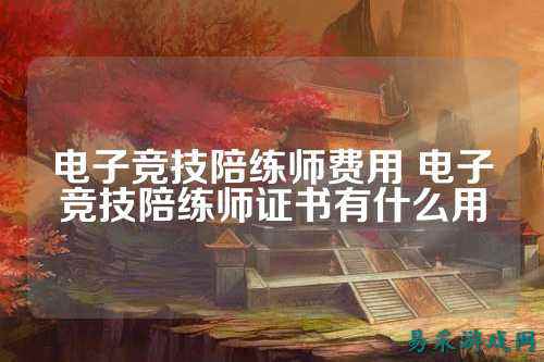 电子竞技陪练师费用 电子竞技陪练师证书有什么用