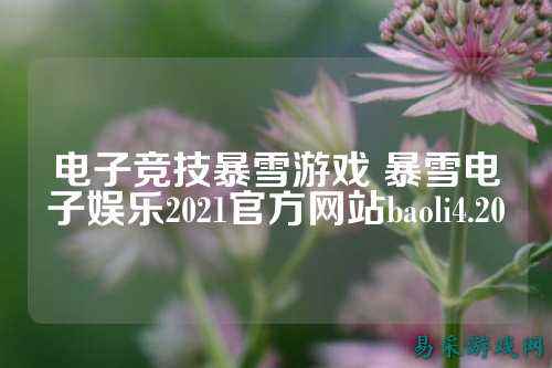 电子竞技暴雪游戏 暴雪电子娱乐2021官方网站baoli4.20