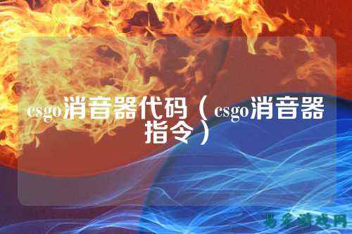 csgo消音器代码（csgo消音器指令）