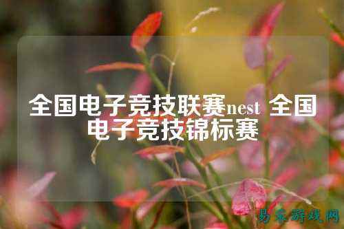 全国电子竞技联赛nest 全国电子竞技锦标赛