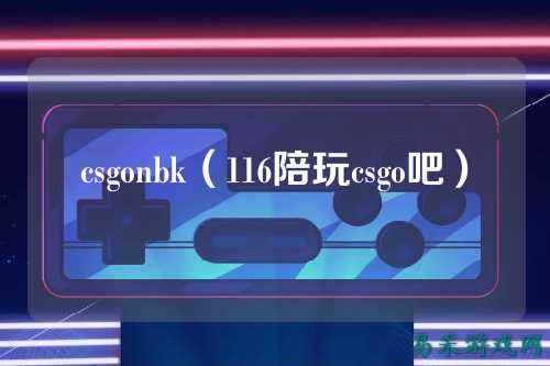 csgonbk(116陪玩csgo吧)